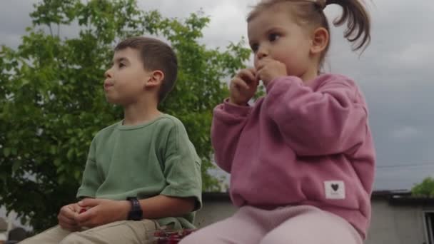 Two Children Sitting Eating Cherries Freshly Picked Garden Summer Vacation — стоковое видео