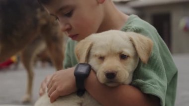 Küçük çocuk köpeğiyle oynuyor, bahçede hayvanlarla vakit geçiriyor. Hayvanlar ve çocuklar arasındaki arkadaşlık.