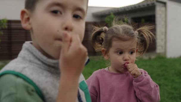 Ευτυχισμένα Παιδιά Που Τρώνε Λαχταριστά Ζουμερά Μούρα Και Στέκονται Έξω — Αρχείο Βίντεο
