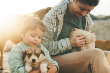 Bir anne ve kızın köpekleriyle vakit geçirmesi. Ev hayatı işte. Çocuğu oynuyorum. Hayvan bakımı..