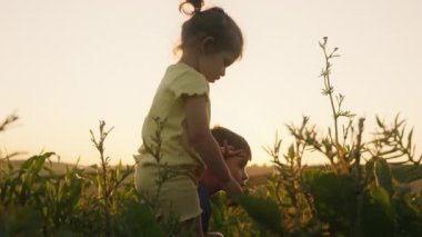 Küçük şirin çocuklar çiftlikte eğleniyor. Çiftlik hayatı. Çiftlikte çalışan kız ve oğlu. Çocukluk anıları.