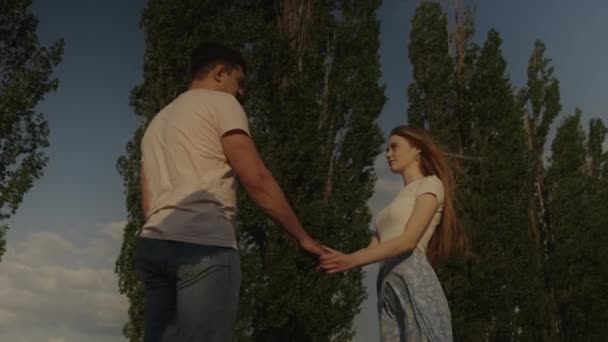 Yeşil Bir Çayırda Ele Tutuşan Kadın Adam Aşk Romantizm Duyguları — Stok video