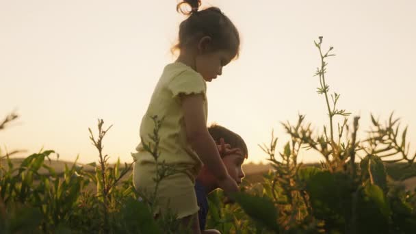 Słodkie Dzieci Bawiące Się Farmie Życie Farmie Córka Syn Pracują — Wideo stockowe