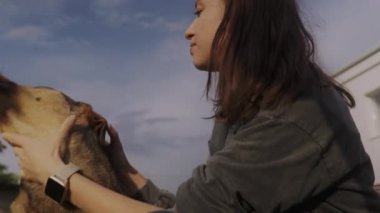 Genç esmer kadın dışarıda köpeğiyle oynuyor. Yaz tatili. Evcil hayvan insanlaştırma ve evcil hayvan ebeveynleri kavramı.