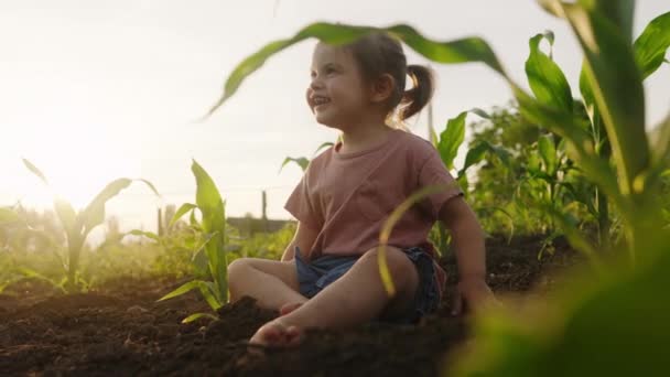 黒い地面に座って 遊んで 笑って 両親がトウモロコシ畑で仕事を終えるのを待っている愛らしい赤ん坊の女の子 — ストック動画