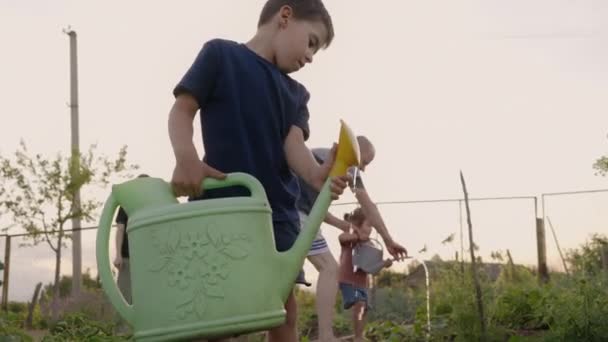 Entzückender Kleiner Junge Der Sämlinge Gewächshaus Gießt Saisonaler Garten Funktioniert — Stockvideo