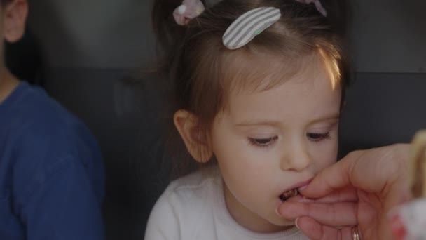 Mały Syn Córka Cieszący Się Wiosną Siedzący Bagażniku Samochodu Jedzący — Wideo stockowe
