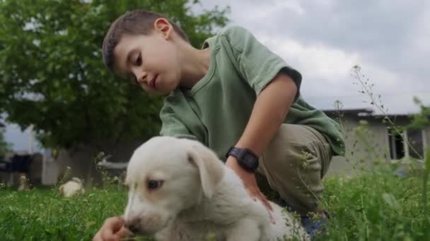 Mały Chłopiec Świetnie Się Bawi Swoim Ulubionym Zwierzakiem Trawniku Ogrodowym — Wideo stockowe