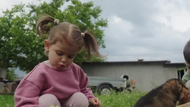 Çocuklar Yaz Bahçesinde Küçük Şirin Bir Köpekle Oynuyorlar Evcil Köpeği — Stok video