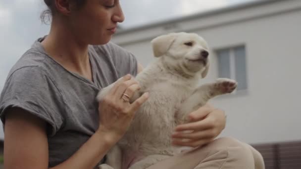 Γυναίκα Χαϊδεύει Σκύλο Κάθεται Πράσινο Γρασίδι Στη Φύση Έννοιες Φιλίας — Αρχείο Βίντεο