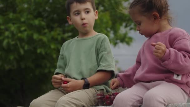小さな幼稚園の少年と赤ん坊の少女は 庭のボウルから熟したチェリーを食べています 新鮮なフルーツ 健康的なオーガニックベリーチェリーフルーツ 夏の収穫シーズン — ストック動画