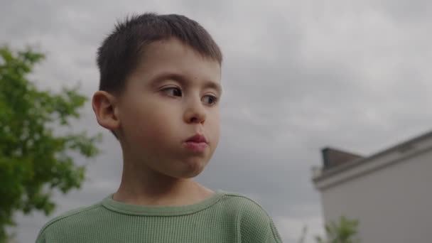 幼稚園の少年は自宅の庭でボウルから熟した赤いチェリーを食べます 夏の収穫シーズン — ストック動画