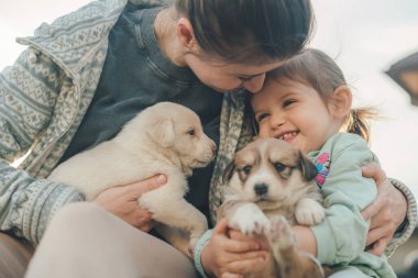 Güzel, mutlu bir aile arka bahçede yavru köpeklerle eğleniyor. Mutlu bir aile. Evcil hayvan sevgisi. Mutluluk duyguları..