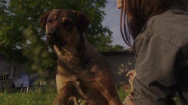 Köpeğiyle dışarıda oynayan güzel bir kadın. İnsanların yaşam tarzı konsepti. Yaz kavramı. Aşk konsepti. Hayvan bakımı..