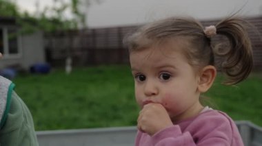 Erkek ve kız kardeş bahçede çalılıktan meyve yiyorlar. Güzel bir gün ve kardeşiyle birlikte kiraz yiyen küçük bir kız..