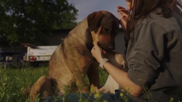 Молода Біла Жінка Домашньому Одязі Пестить Гарного Собаку Зовні Саду — стокове відео