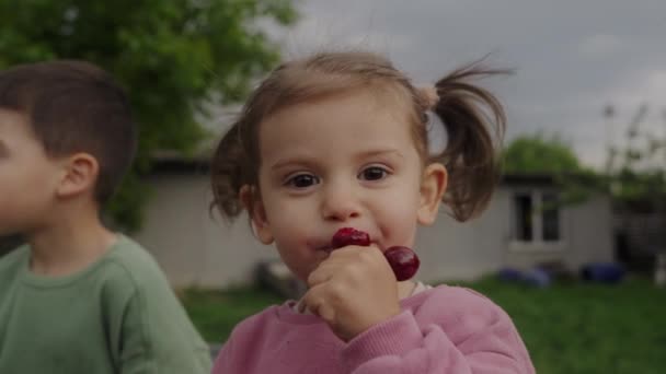 Маленькие Дети Едят Вишни Улице Саду Здоровое Питание Здоровое Питание — стоковое видео