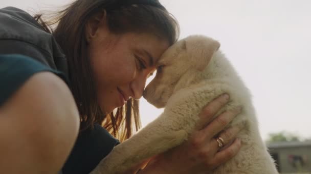 Mujer Feliz Agradable Conseguir Perrito Encantador Jugando Abrazando Cuatro Patas — Vídeos de Stock
