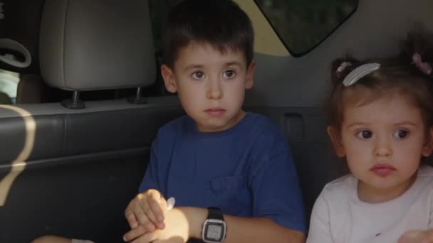 Dos Niños Limpian Las Manos Con Servilletas Mojadas Después Comer — Vídeo de stock