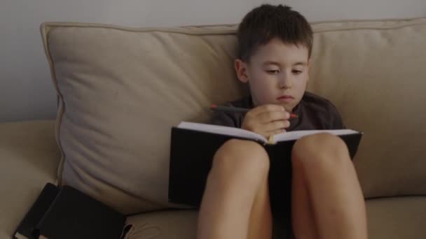 Чарівний Білий Хлопчик Малює Блокноті Сидячи Дивані Вдома Дослідження Домашніх — стокове відео