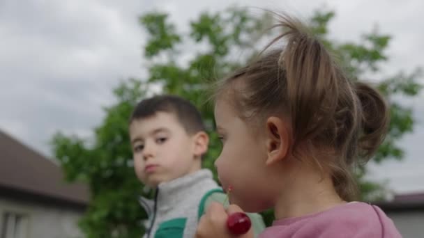 春の日に桜の庭を食べるかわいい小さな少女とかわいい少年 国の子供たち — ストック動画