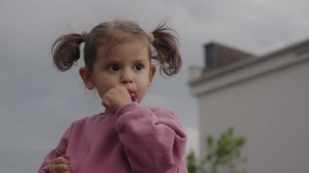 Kleines Mädchen Isst Kirschen Garten Gesunde Ernährung Gesunde Ernährung Biologische — Stockvideo