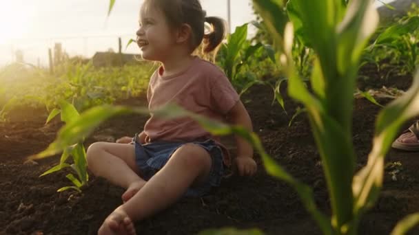 Klein Lachend Meisje Zittend Een Grasveld Tuin Zomertijd Natuur Levensstijl — Stockvideo