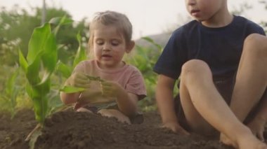 Beyaz bir oğlan ve küçük bir kız bebek bahçede oturuyor ve yerde bacaklarıyla oynuyorlar. Açık hava ve aile aktiviteleri. Yaratıcı ve portre konsepti