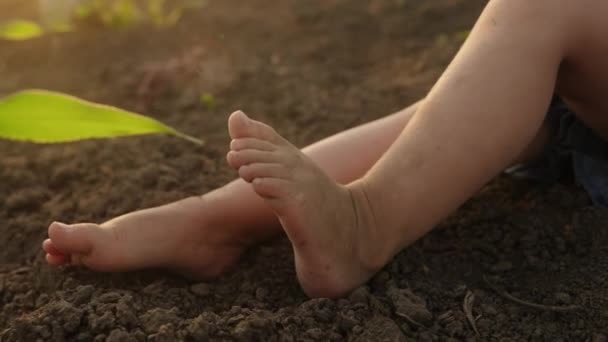 晴れた明るい日に地面に座る小さな足 幸せな子供時代の概念 サマーシーズン — ストック動画