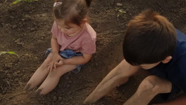 Двоє Щасливих Дітей Сидять Землі Садовому Полі Літнє Органічне Садівництво — стокове відео