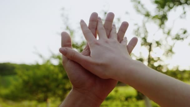 Duas Pessoas Segurando Mão Juntas Sobre Fundo Natureza Turva Mãos — Vídeo de Stock
