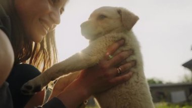 Çekici beyaz kadın, büyüleyici köpeğine sarılıyor, gün batımında bahçede duruyor. Komik bir beyaz kadın pofuduk bir köpeğe sarılıyor.