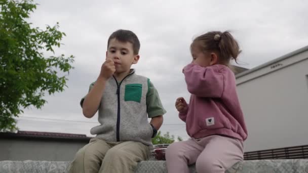 Ragazzino Bambina Nel Frutteto Durante Raccolta Delle Ciliegie Mangiando Ciliegie — Video Stock