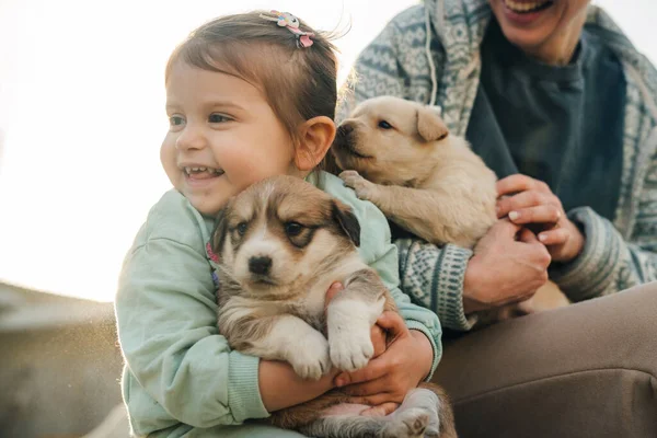 귀여운 강아지와 뒤뜰에 그녀의 어머니와 행복한 동물을위한 행복의 — 스톡 사진