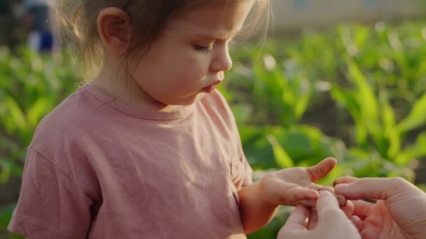 Pequena Menina Caucasiana Olhando Para Uma Joaninha Palma Mãe Jardim — Vídeo de Stock