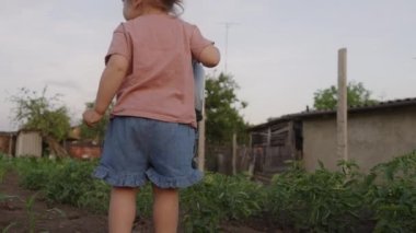 Küçük kız yaz bahçesinde sebze suluyor. Çeşitli bitki örtüsü ve sebze fidanları olan tarım arazisi.