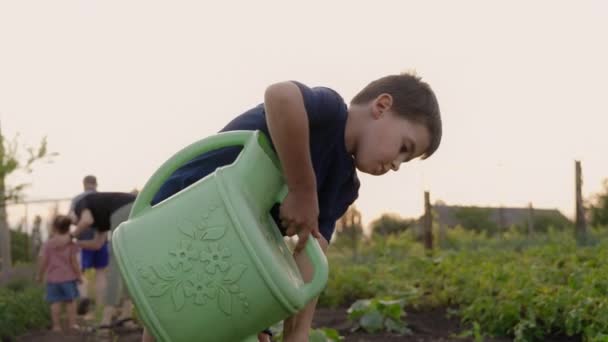 可爱的小男孩在花园里用浇水罐浇灌植物 帮助父母种植蔬菜 并享受乐趣 与儿童在室外开展的活动 — 图库视频影像