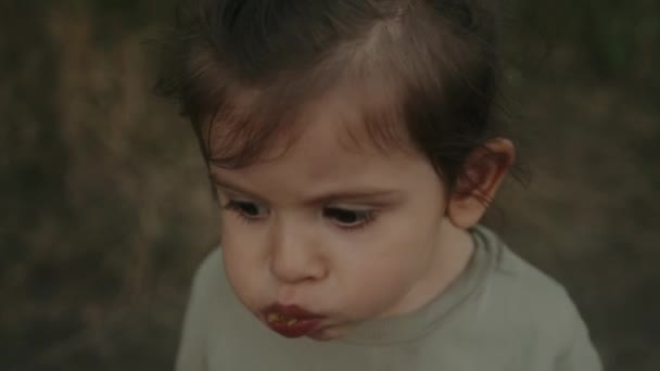 Ein Nettes Kleines Mädchen Das Pflaumen Isst Außerhalb Der Stadt — Stockvideo