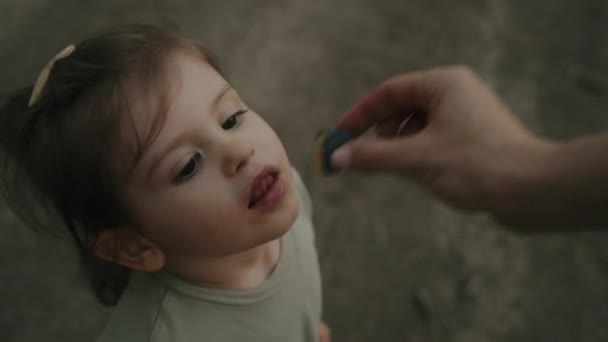 妈妈们用李子喂小女孩 小宝宝张开嘴 伸手去取水果 家庭生活 — 图库视频影像