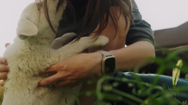 緑の芝生の上に座っている子犬を抱き抱きしめ 気遣うことのできない女性 ペットコンセプト — ストック動画