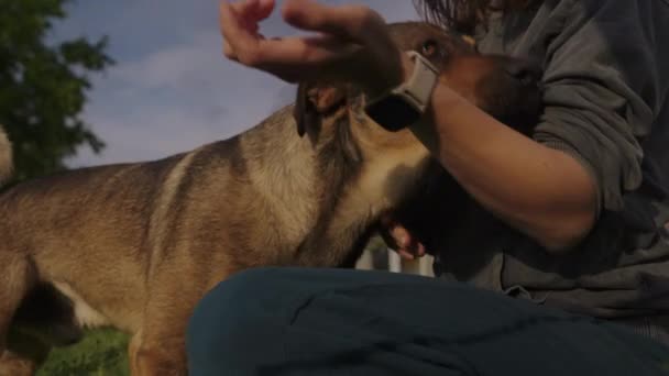 Весела Жінка Обіймає Погладжує Доброзичливого Собаку Сидячи Громадському Саду Хороший — стокове відео