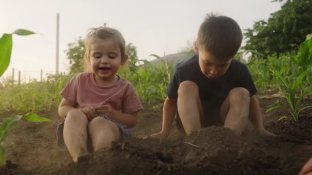 Dois Miúdos Descalços Engraçados Sentados Chão Junto Vegetal Crescimento Produtos — Vídeo de Stock