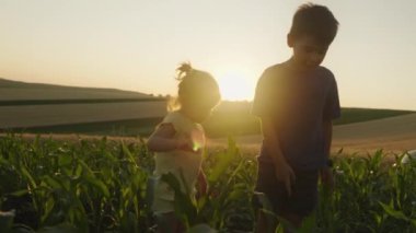 Erkek kardeşi ve kız kardeşi gün batımında mısır tarlasının ortasında duruyorlar..