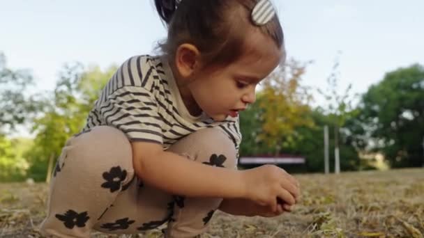Carina Bambina Che Gioca Nel Parco Cittadino Durante Calda Giornata — Video Stock