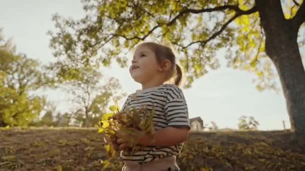 Küçük Mutlu Kız Sarı Sonbahar Yaprakları Kusuyor Ormanda Yürüyen Bir — Stok video