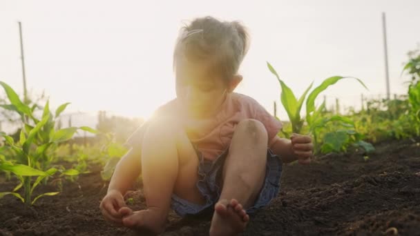 Чарівна Дівчинка Сонячному Весняному Саду Грає Теплиця Діти Відпустці — стокове відео
