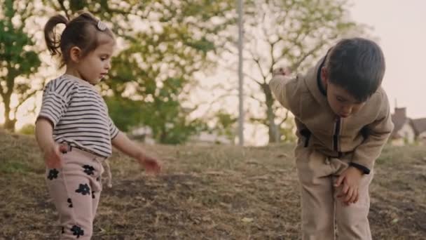 Erkek Kız Kardeş Sonbahar Çayır Parkında Birlikte Oynuyorlar Çocukluk Oyuncu — Stok video