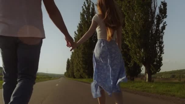 Yolda Ele Yürüyen Genç Bir Çiftin Arka Görüntüsü Romantik Bir — Stok video