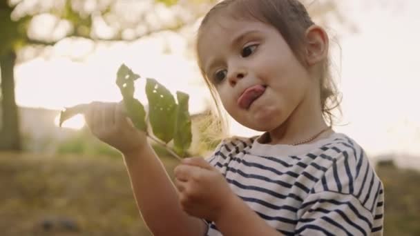 Mała Biała Dziewczynka Bawiąca Się Opadłymi Liśćmi Jesiennym Parku Ciepła — Wideo stockowe