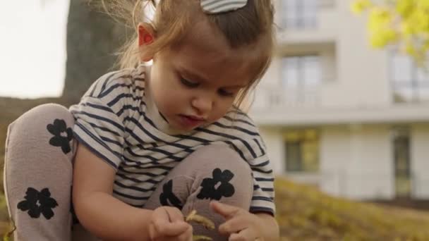 Мрійлива Дівчинка Грає Осінньому Парку Листям Прекрасне Дівоче Обличчя Мила — стокове відео